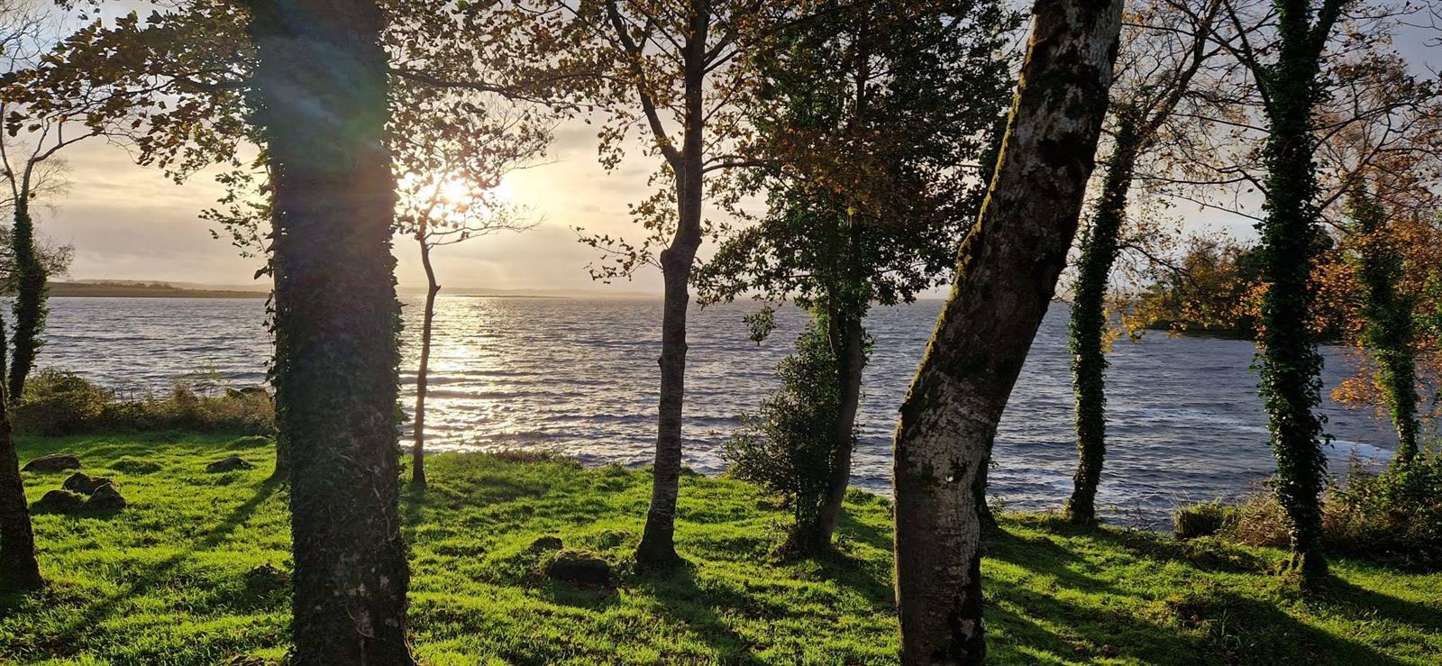 Low autumn sun shining through trees onto a lake, with bright green grass in the foreground.